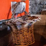 Casas Da Luz By Homie * Ponta do Sol (Madeira)
