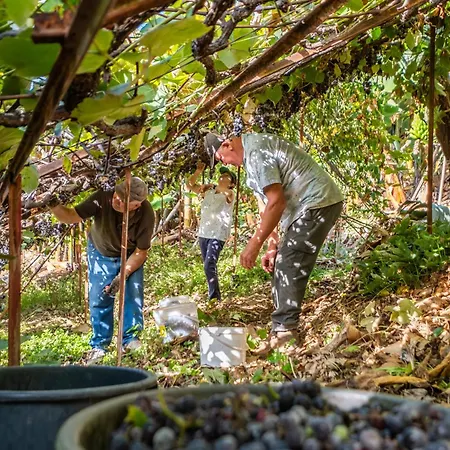 Farm stay Casas Da Luz By Homie *