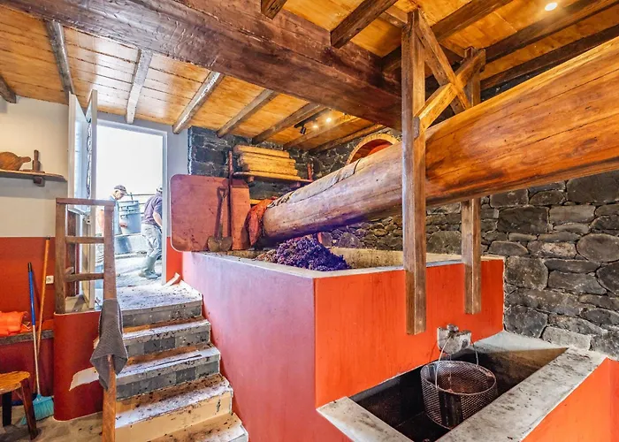 Casas Da Luz By Homie *