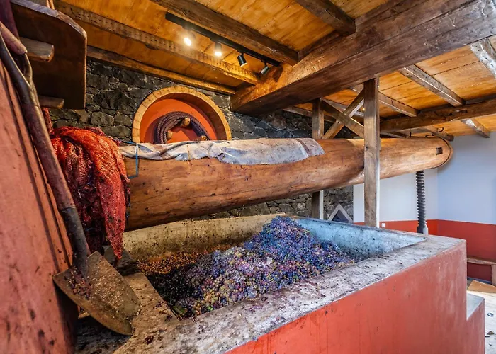 Casas Da Luz By Homie