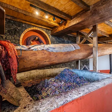 Casas Da Luz By Madeira Sun Travel