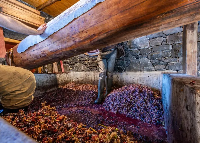 Casas Da Luz By Homie ファームステイ *